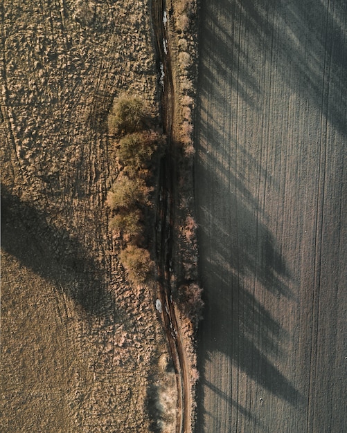 Acasă 60 Soluții eficiente pentru compactarea terenului în construcții